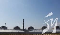     44%  , 75%    33%   - 